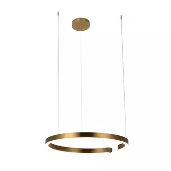 Подвесной светодиодный светильник Loft IT Ring 10013L