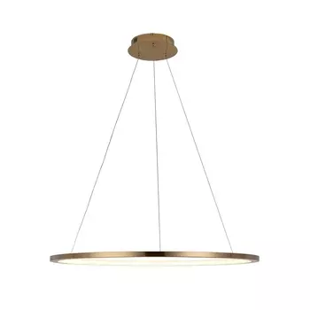 Подвесной светодиодный светильник Loft IT Ring 10014L