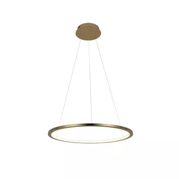 Подвесной светодиодный светильник Loft IT Ring 10014M