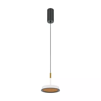 Подвесной светодиодный светильник Maytoni El MOD041PL-L15WG3K