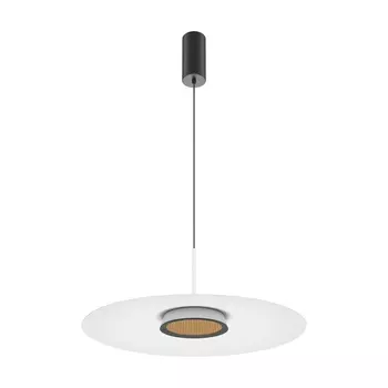 Подвесной светодиодный светильник Maytoni El MOD041PL-L15W3K1