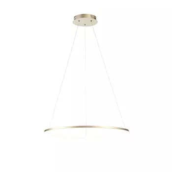 Подвесной светодиодный светильник ST Luce Erto SL904.213.01