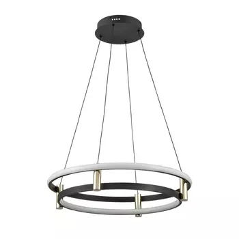 Подвесной светодиодный светильник Vele Luce Libertas VL7314P14