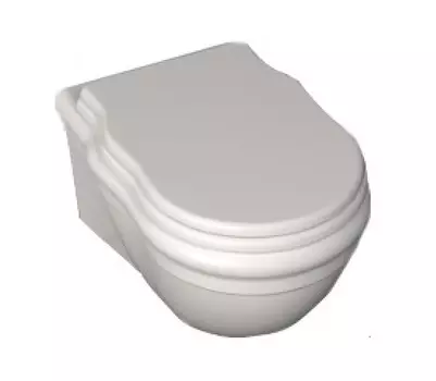 Подвесной унитаз ISVEA Regina 10RE02002SV белый