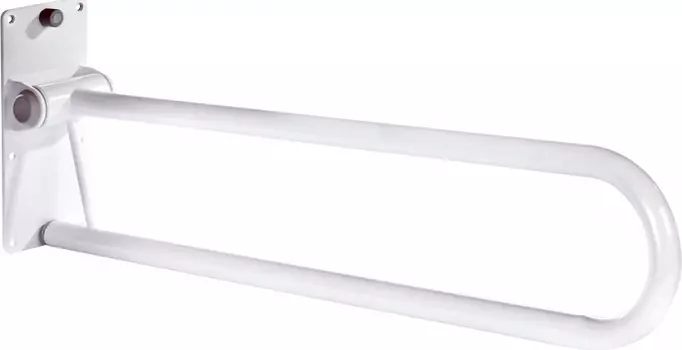 Поручень Ridder Assistent А0130201