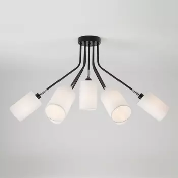 Потолочная люстра Eurosvet Duetto 70072/7 белый