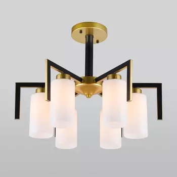 Потолочная люстра Eurosvet Palio 70126/6 черный