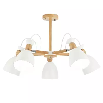 Потолочная люстра Evoluce Balcamo SLE103802-05