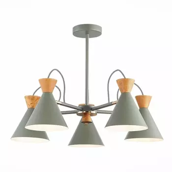 Потолочная люстра Evoluce Modica SLE125112-05