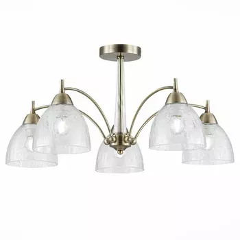 Потолочная люстра Evoluce Nuele SLE104402-05