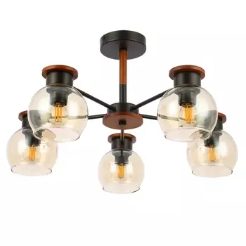 Потолочная люстра Evoluce Rasco SLE108102-05