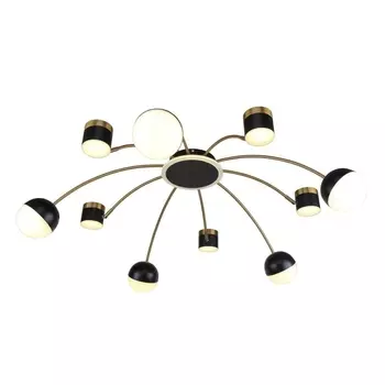 Потолочная люстра F-Promo Canvas 3096-10P