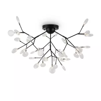 Потолочная люстра Freya Florencia FR5049CL-36B