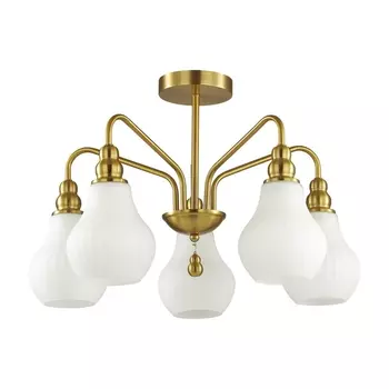 Потолочная люстра Lumion Eleonora 4562/5C