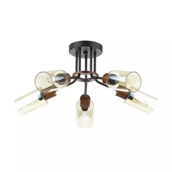 Потолочная люстра Lumion Fern 4492/5C