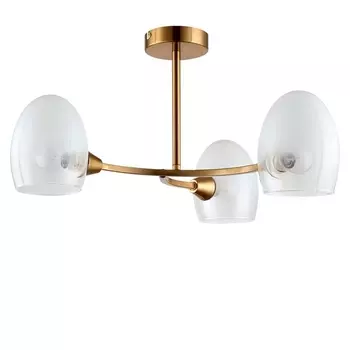 Потолочная люстра Lumion KENDALL 6514/3C