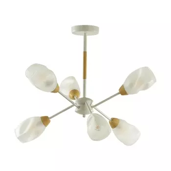Потолочная люстра Lumion Kendra 5210/6C