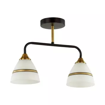 Потолочная люстра Lumion Nettie 5214/2CA