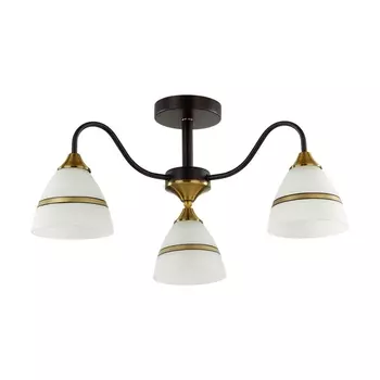 Потолочная люстра Lumion Nettie 5214/3C