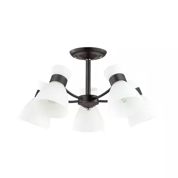 Потолочная люстра Lumion Wilma 4534/5C