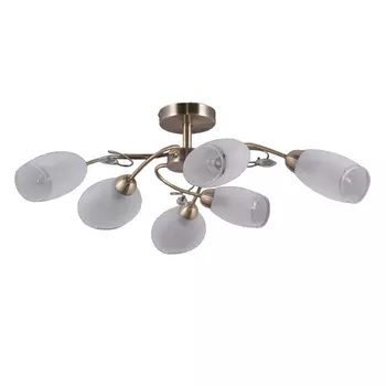 Потолочная люстра MW-Light Моника 372014006