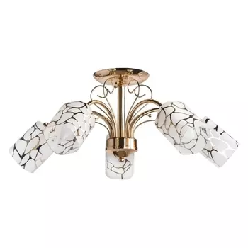 Потолочная люстра MW-Light Олимпия 638010105