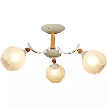 Потолочная люстра Reluce 04511-0.3-03