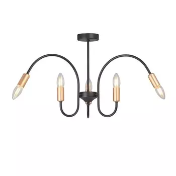 Потолочная люстра Vitaluce V3026-1/6PL