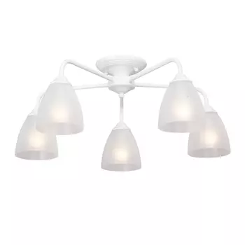 Потолочная люстра Vitaluce V3946-0/5PL