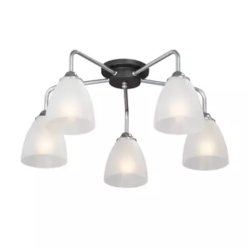 Потолочная люстра Vitaluce V4500-9/5PL