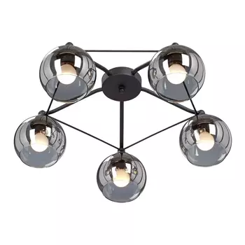 Потолочная люстра Vitaluce V4703-1/5PL