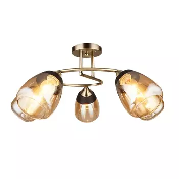 Потолочная люстра Wedo Light Aldino 66425.01.05.05