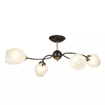 Потолочная люстра Wedo Light Falczes 66598.01.15.04