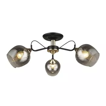 Потолочная люстра Wedo Light Isora 66606.01.69.03