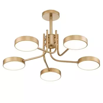 Потолочная светодиодная люстра Escada Skylar 10258/5LED