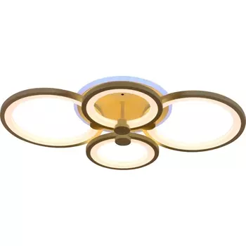 Потолочная светодиодная люстра Evoled Leto SLE200322-04RGB