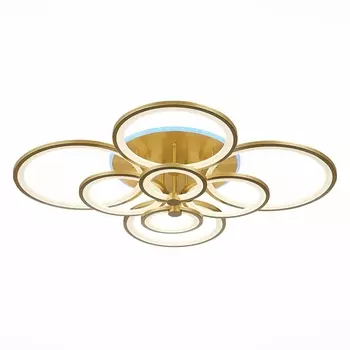 Потолочная светодиодная люстра Evoled Leto SLE200322-08