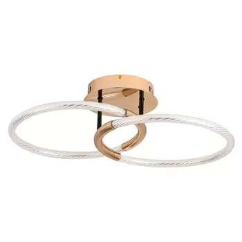 Потолочная светодиодная люстра Lumion Ledio Lara 6545/61CL