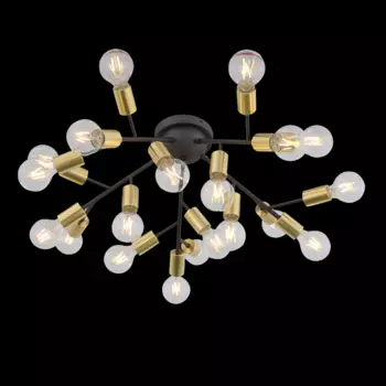 Потолочная светодиодная люстра ST Luce Foglione SL437.402.20