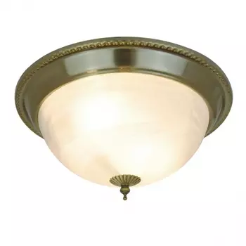 Потолочный светильник Arte Lamp 16 A1305PL-2AB