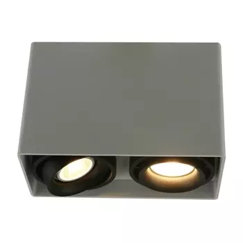 Потолочный светильник Arte Lamp A5655PL-2WH