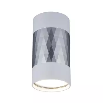 Потолочный светильник Elektrostandard Mizar DLN110 GU10 белый/серебро 4690389148705