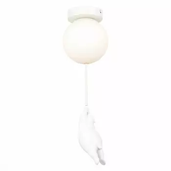 Потолочный светильник Evoluce MODENA SLE115402-01