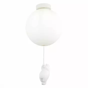 Потолочный светильник Evoluce MODENA SLE115412-01