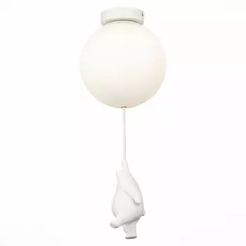 Потолочный светильник Evoluce MODENA SLE115422-01