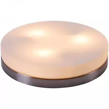 Потолочный светильник Globo Opal 48403 /48403