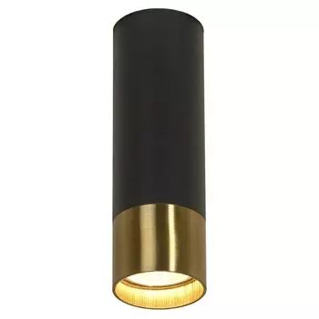 Потолочный светильник Lussole Loft LSP-8556