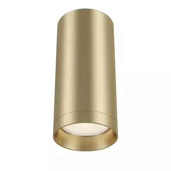 Потолочный светильник Maytoni Alfa C010CL-01MG