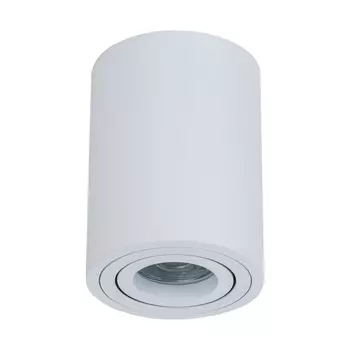 Потолочный светильник Maytoni Alfa C016CL-01W