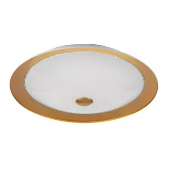 Потолочный светильник Maytoni Euler CL815-PT50-G